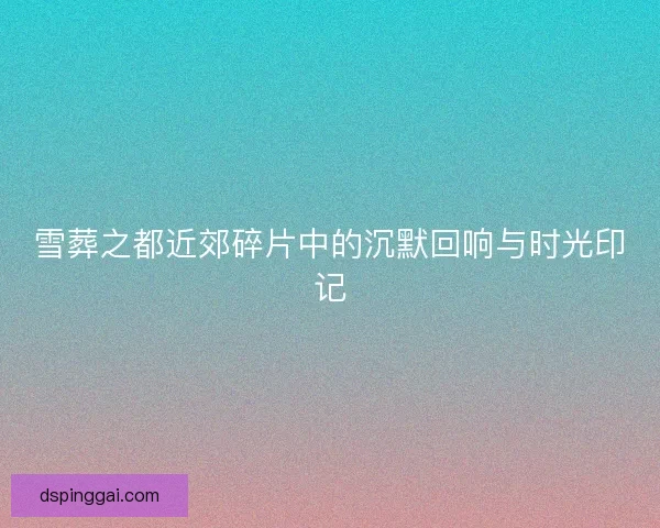 雪葬之都近郊碎片中的沉默回响与时光印记