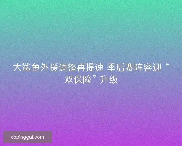 大鲨鱼外援调整再提速 季后赛阵容迎 “双保险” 升级