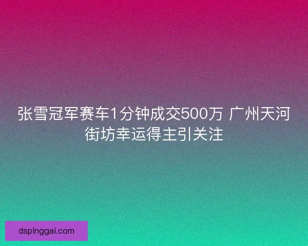 张雪冠军赛车1分钟成交500万 广州天河街坊幸运得主引关注