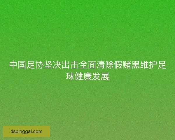 中国足协坚决出击全面清除假赌黑维护足球健康发展